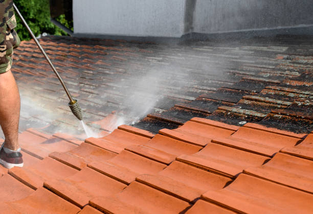 Best Pressure Washing Patio  in Hotchkiss, CO